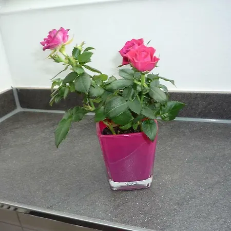 Mit Aussicht Mülheim an der Ruhr