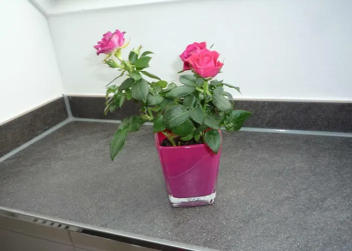 Mit Aussicht Mülheim an der Ruhr